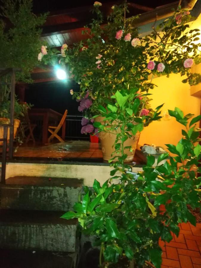 La Fenice Montefiascone Exterior photo